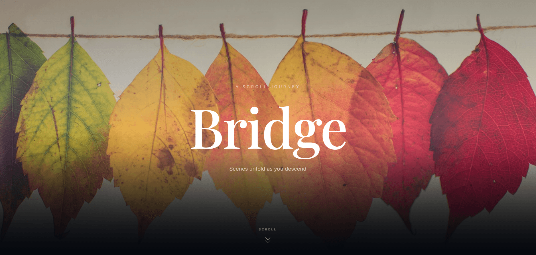 Parallex Design Template preview 1